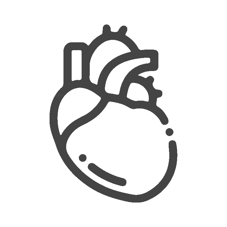 Comprehensive Cardiac Care by Sanjeevini Cardiac Centre