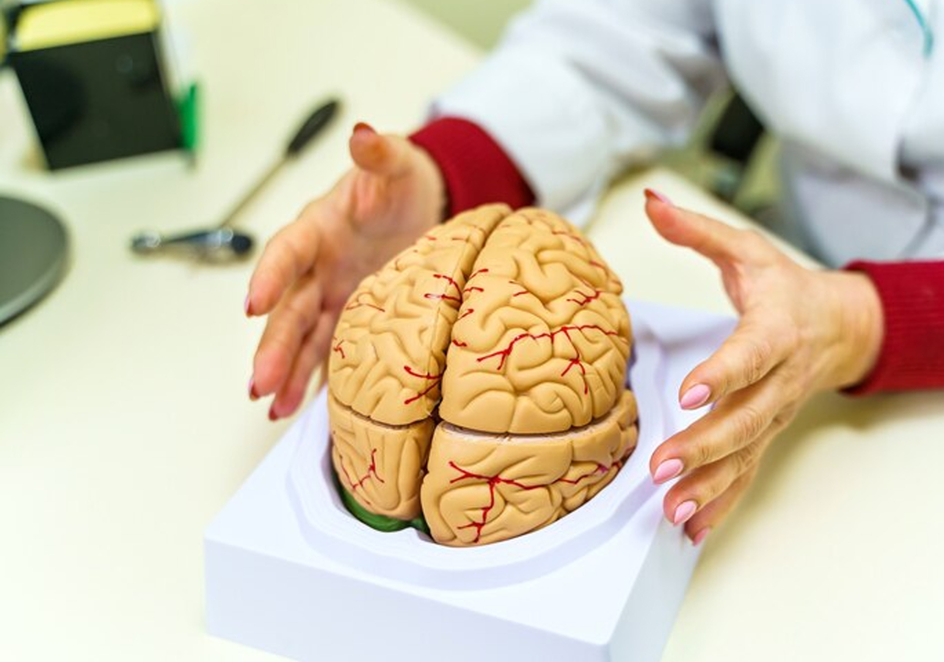 The Evolution of Advanced Brain Stroke Centers: Optimizing Str...